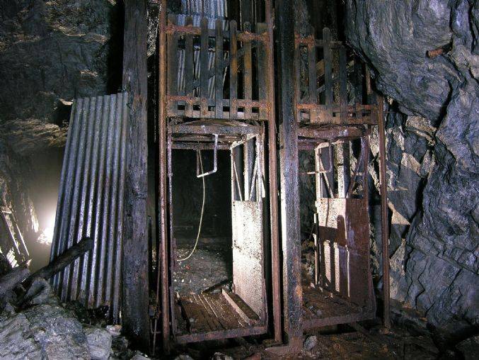 Bearing by wagon and cage 2