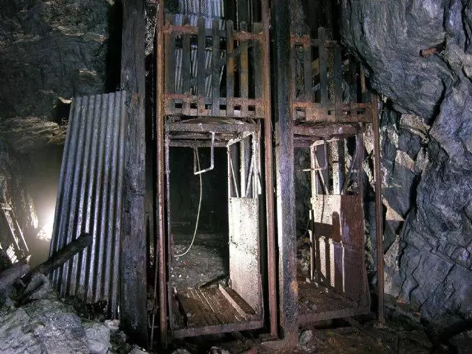 Bearing by wagon and cage 2