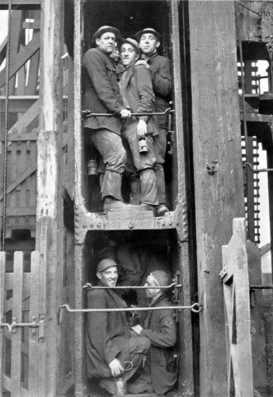 Bearing by wagon and cage 3